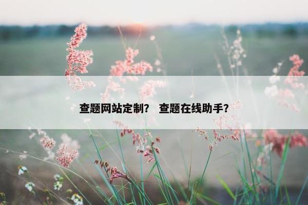 查题网站定制？ 查题在线助手？