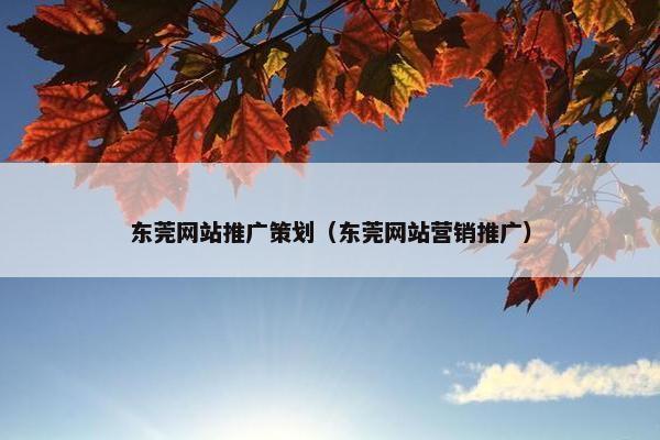东莞网站推广策划（东莞网站营销推广）