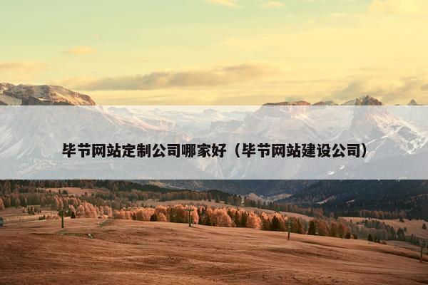 毕节网站定制公司哪家好（毕节网站建设公司）