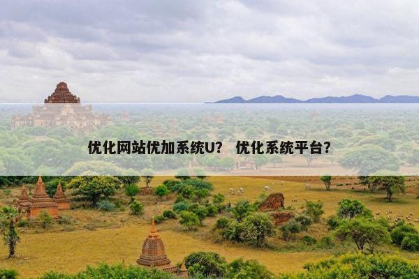 优化网站优加系统U？ 优化系统平台？
