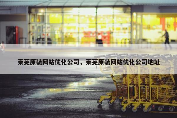 莱芜原装网站优化公司，莱芜原装网站优化公司地址