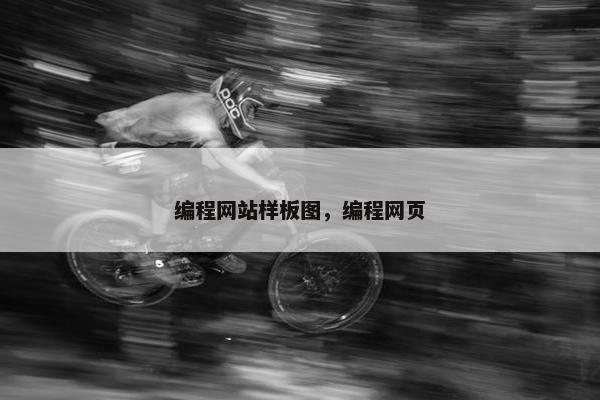 编程网站样板图，编程网页