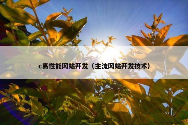 c高性能网站开发（主流网站开发技术）