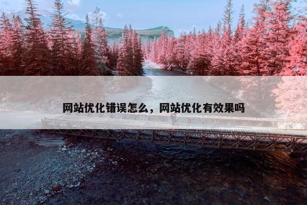 网站优化错误怎么，网站优化有效果吗