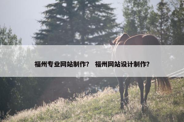 福州专业网站制作？ 福州网站设计制作？