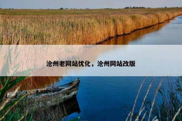 沧州老网站优化，沧州网站改版