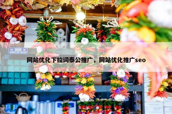 网站优化下拉词泰公推广，网站优化推广seo