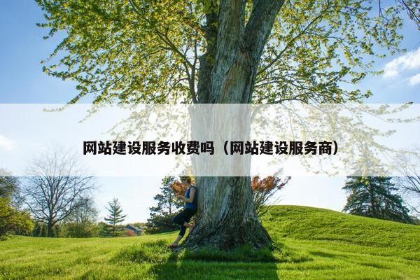 网站建设服务收费吗（网站建设服务商）