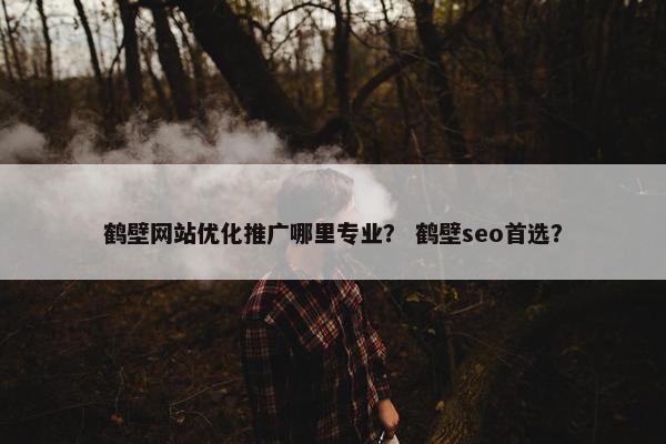 鹤壁网站优化推广哪里专业？ 鹤壁seo首选？