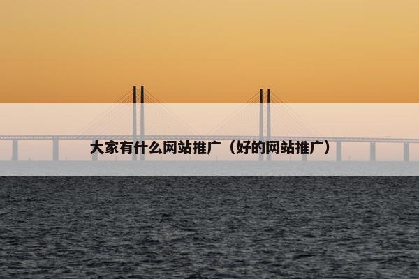 大家有什么网站推广（好的网站推广）