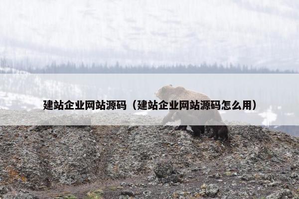 建站企业网站源码（建站企业网站源码怎么用）