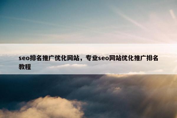 seo排名推广优化网站，专业seo网站优化推广排名教程