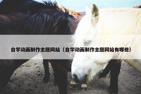 自学动画制作主题网站（自学动画制作主题网站有哪些）