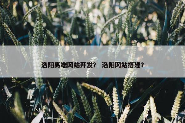 洛阳高端网站开发？ 洛阳网站搭建？
