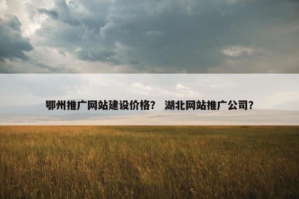 鄂州推广网站建设价格？ 湖北网站推广公司？