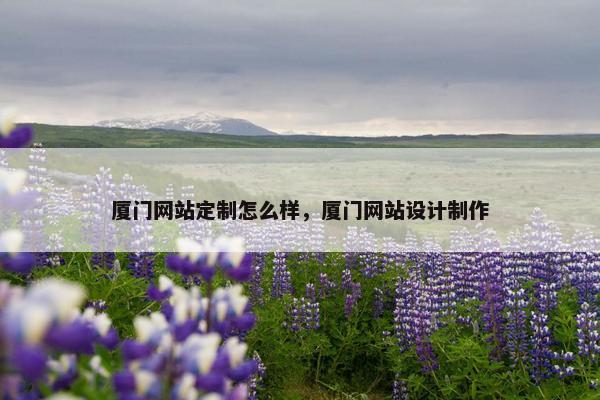厦门网站定制怎么样，厦门网站设计制作