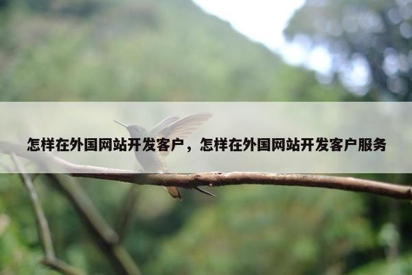 怎样在外国网站开发客户，怎样在外国网站开发客户服务