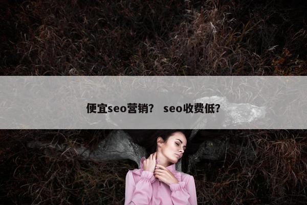 便宜seo营销？ seo收费低？