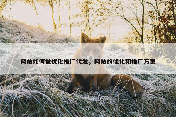 网站如何做优化推广代发，网站的优化和推广方案