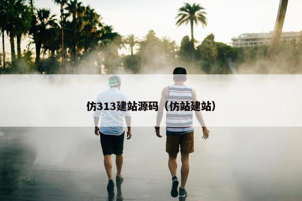 仿313建站源码（仿站建站）