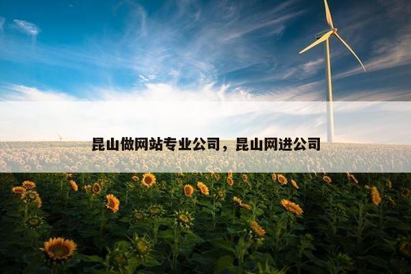 昆山做网站专业公司，昆山网进公司