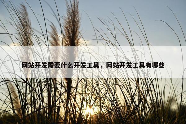 网站开发需要什么开发工具，网站开发工具有哪些