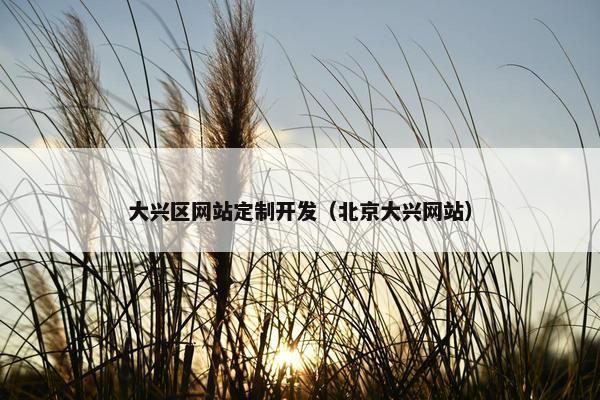 大兴区网站定制开发（北京大兴网站）