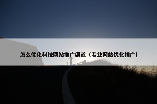 怎么优化科技网站推广渠道（专业网站优化推广）