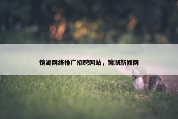 镜湖网络推广招聘网站，镜湖新闻网