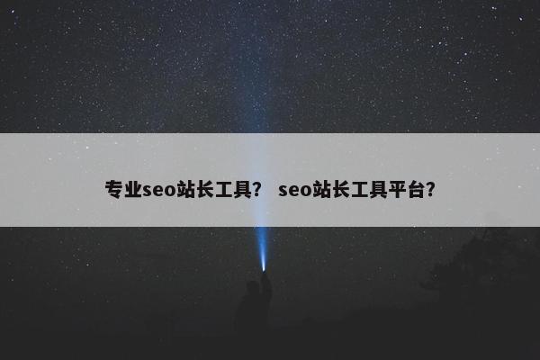 专业seo站长工具？ seo站长工具平台？