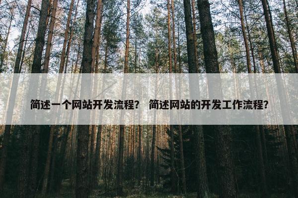 简述一个网站开发流程？ 简述网站的开发工作流程？