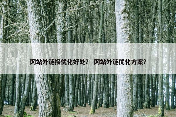 网站外链接优化好处？ 网站外链优化方案？