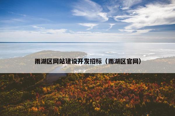 雨湖区网站建设开发招标（雨湖区官网）