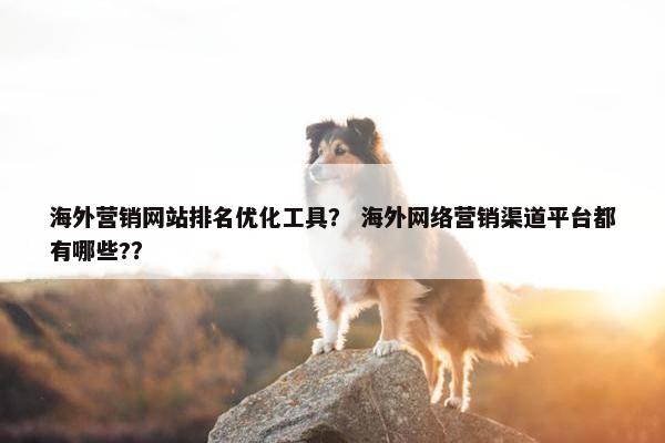 海外营销网站排名优化工具？ 海外网络营销渠道平台都有哪些?？