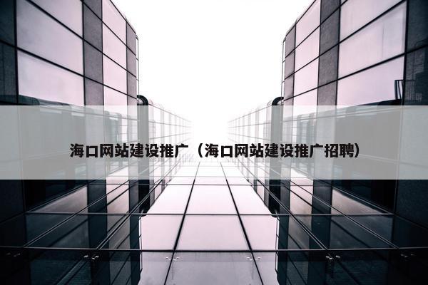 海口网站建设推广（海口网站建设推广招聘）