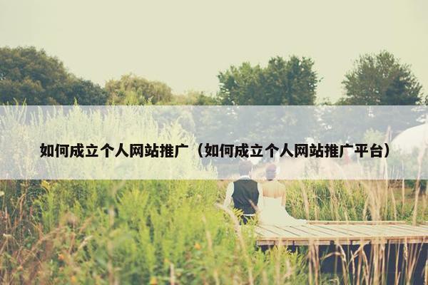 如何成立个人网站推广（如何成立个人网站推广平台）
