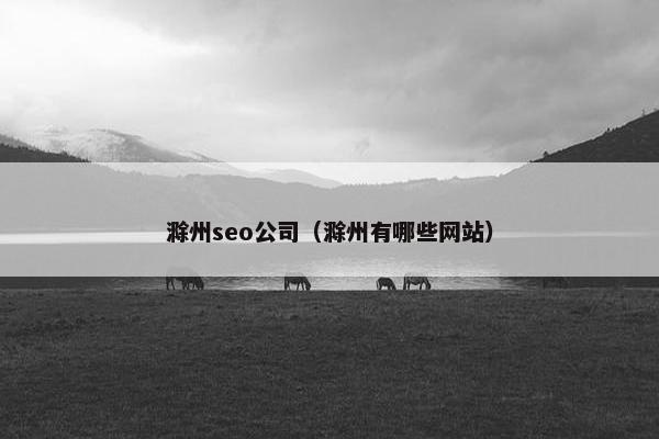 滁州seo公司（滁州有哪些网站）