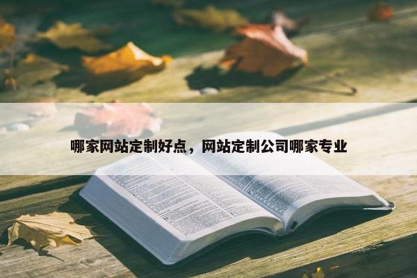 哪家网站定制好点，网站定制公司哪家专业