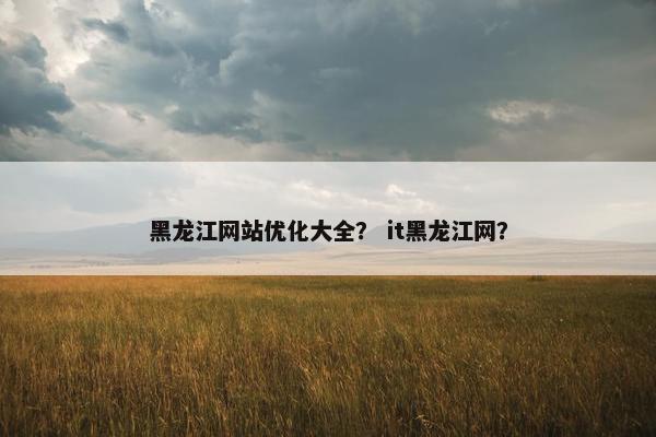 黑龙江网站优化大全？ it黑龙江网？