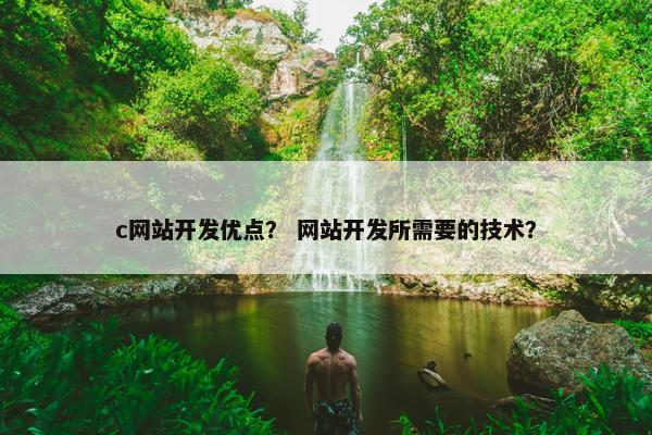 c网站开发优点？ 网站开发所需要的技术？