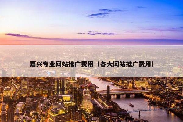 嘉兴专业网站推广费用（各大网站推广费用）