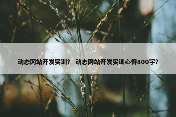 动态网站开发实训？ 动态网站开发实训心得800字？