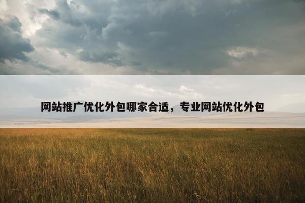 网站推广优化外包哪家合适，专业网站优化外包