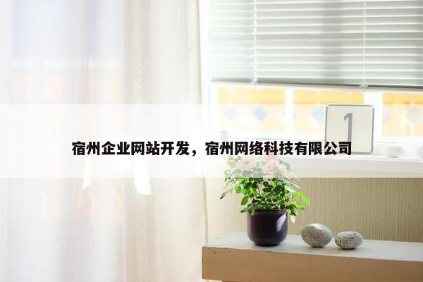 宿州企业网站开发，宿州网络科技有限公司