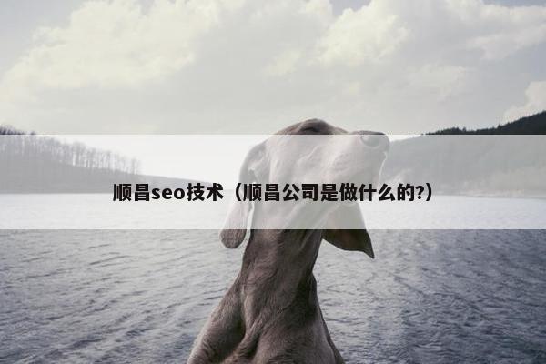 顺昌seo技术（顺昌公司是做什么的?）