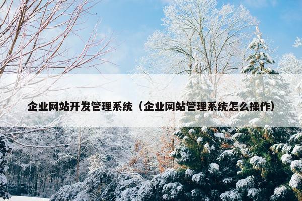 企业网站开发管理系统（企业网站管理系统怎么操作）
