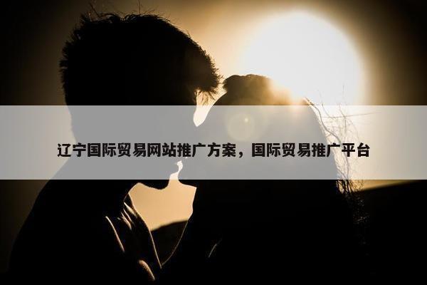 辽宁国际贸易网站推广方案，国际贸易推广平台