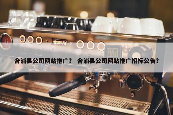 合浦县公司网站推广？ 合浦县公司网站推广招标公告？