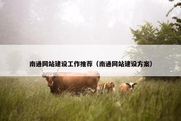 南通网站建设工作推荐（南通网站建设方案）