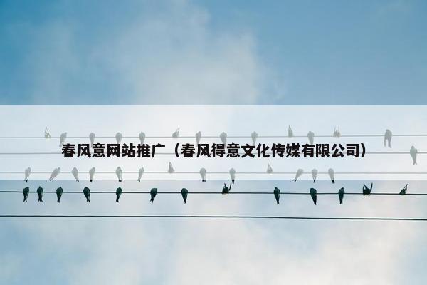春风意网站推广（春风得意文化传媒有限公司）